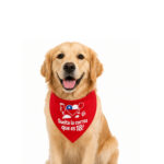 Bandana Dieciochera para Perros y Gatos – Wonder Pet - Imagen 6