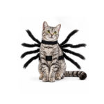 Disfraz para Mascotas Araña - Wonder Pet