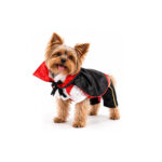 Disfraz de Vampiro para Gatos - Wonder Pet