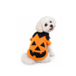 Disfraz Halloween Calabaza para Perros - Wonder Pet