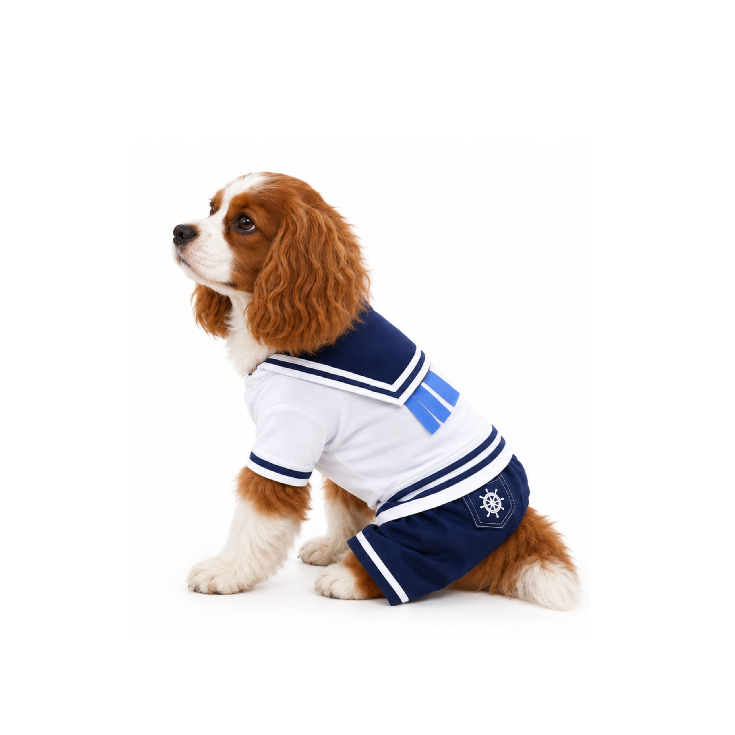 FOTOS WEB 2 (38) Traje Estilo Marinero para Perro - Wonder Pet - Imagen 1