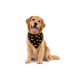 Bandana para Mascotas Oscuridad Encantada - Wonder Dog