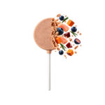 Lolli Pop Pollo con Arándano Liofilizado- Healthy Life 1,4 g - Imagen 2