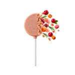 Lolli Pop Pollo con Cranberry Liofilizado- Healthy Life 1,4 g - Imagen 2