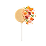 Lolli Pop Pollo con Calabaza Liofilizado - Healthy Life 1,4 g - Imagen 2