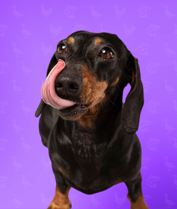 Diseño sin título (2)