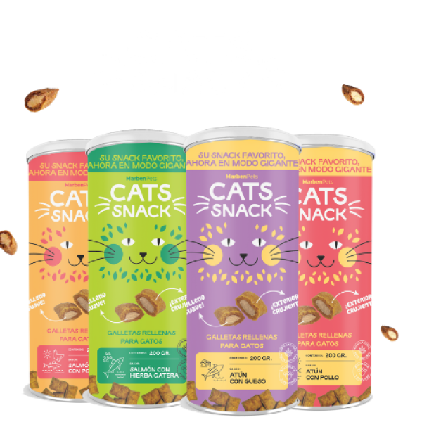 apartado banner principal (5)