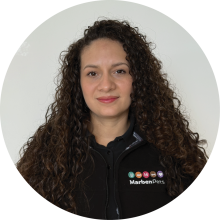 ventas_Mesa de trabajo 1 copia 3